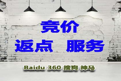 某行业头部企业信息流广告推广全解析